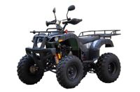 купить Квадроцикл UNIVERSAL ATV 200 TM Bull в Москве - фото 