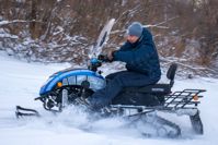 купить Снегоход SHARMAX SN-210 Forester Classic в Москве - фото 