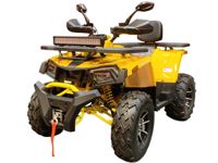 купить Квадроцикл MOTOLAND Wild Track X PRO 200 (баланс. вал) в Москве - фото 