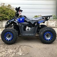 купить Квадроцикл YACOTA Raposa в Москве - фото 