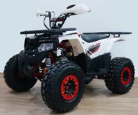 купить Квадроцикл YACOTA Fusion 125 в Москве - фото 