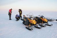 купить Снегоход РУССКАЯ МЕХАНИКА Tiksy 250 Люкс в Москве - фото 