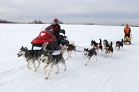 купить Снегоход РУССКАЯ МЕХАНИКА Тайга Варяг 550V в Москве - фото 