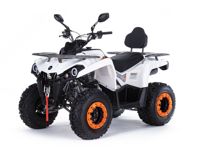 купить Квадроцикл MOTAX ATV Grizlik 200 Ultra в Москве - фото 
