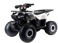 купить Квадроцикл MOTOLAND Storm A 125 в Москве - фото 