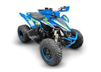 купить Квадроцикл RACER Typhoon 250 в Москве - фото 