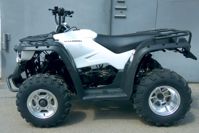 купить Квадроцикл LINHAI-YAMAHA M150 в Москве - фото 