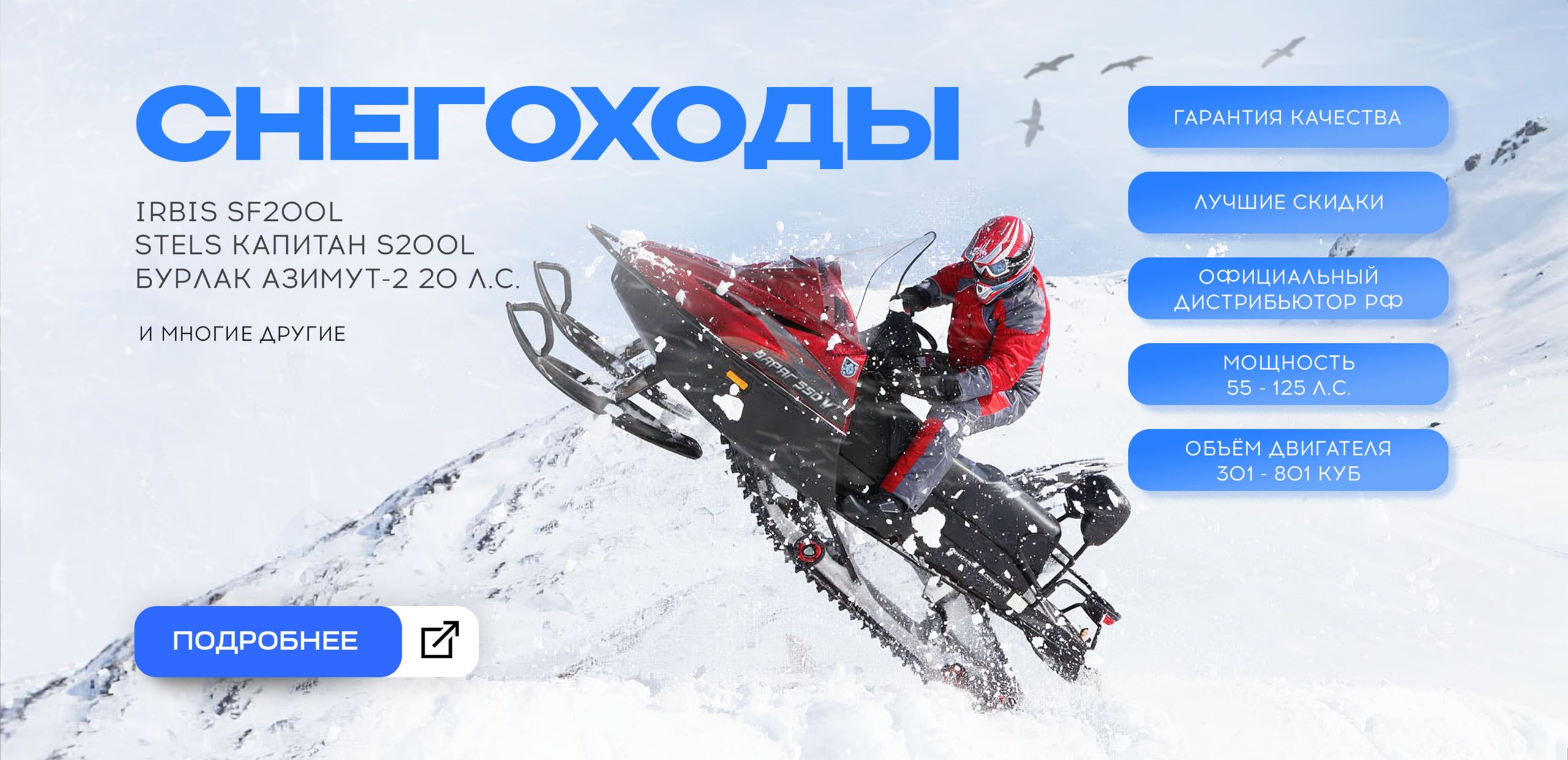 Снегоходы 2025