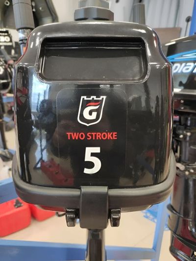 купить 2х-тактный лодочный мотор GOLFSTREAM TC5BMS Б/У в Москве - фото 