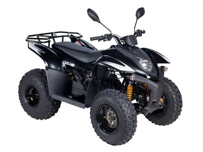 купить Квадроцикл BALTMOTORS Jam 100 в Москве - фото 