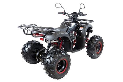 купить Квадроцикл MOTAX ATV Grizlik 7 110 cc в Москве - фото 