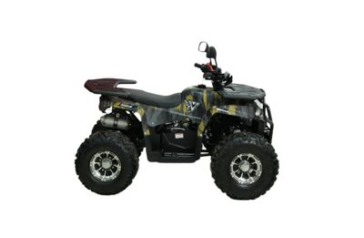 купить Квадроцикл Motax Grizlik Premium 150 в Москве - фото 