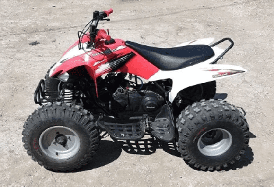 купить Квадроцикл MOTOLAND 150S Б/У в Москве - фото 