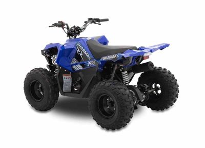 купить Квадроцикл SHARMAX Cross 200 (2024) в Москве - фото 