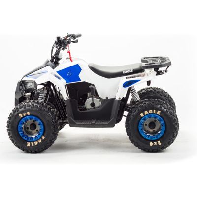 купить Квадроцикл MOTOLAND 110 Eagle (2021 Г.) в Москве - фото 
