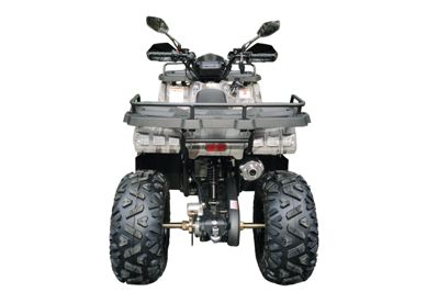 купить Квадроцикл MOTAX ATV Grizlik T200 Lux в Москве - фото 