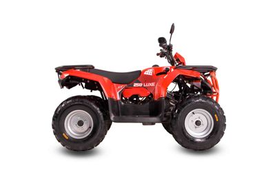 купить Квадроцикл SHARMAX Luxe 300  (2024) в Москве - фото 