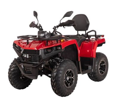 Квадроцикл BIZON YK250 Lux EFI в Москве