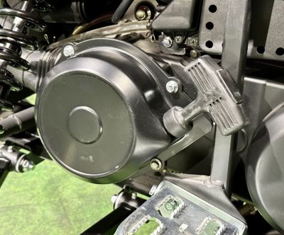 купить Снегоход MOTOLAND Snowfox 200 в Москве - фото 