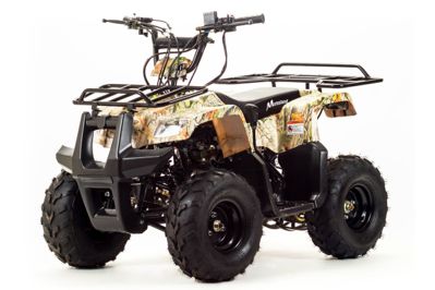 Квадроцикл MOTOLAND 110 Rider (2021 Г.) в Москве