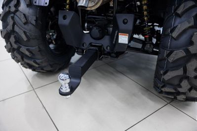 купить Квадроцикл HISUN Guardian 750L Long в Москве - фото 