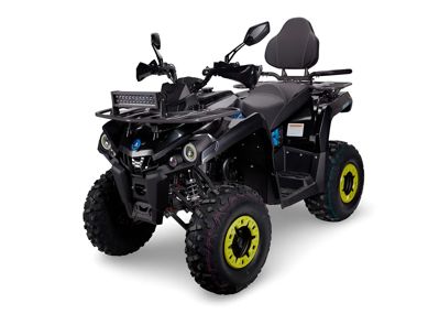 купить Квадроцикл AVANTIS Forester Long 200 Lux в Москве - фото 
