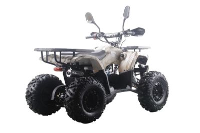 купить Квадроцикл MOTAX ATV Grizlik Premium 125cc в Москве - фото 