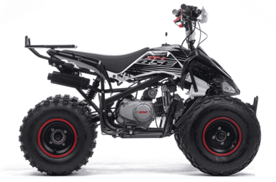 Квадроцикл BSE XT1 Black в Москве