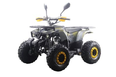купить Квадроцикл MOTAX ATV Grizlik Premium 125cc в Москве - фото 