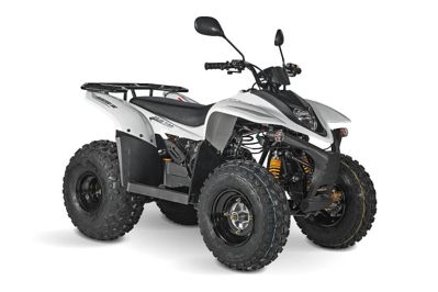 купить Квадроцикл BALTMOTORS Jam 100 в Москве - фото 