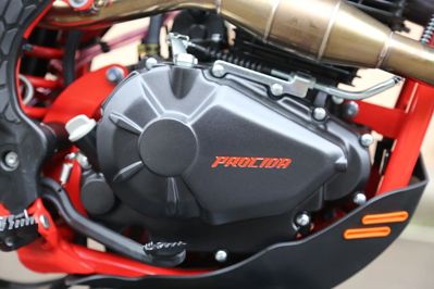 купить Мотоцикл кроссовый эндуро PROCIDA 2020 PR300 в Москве - фото 