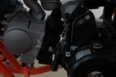 купить Квадроцикл MOTAX ATV T-Rex Super LUX 50 cc в Москве - фото 