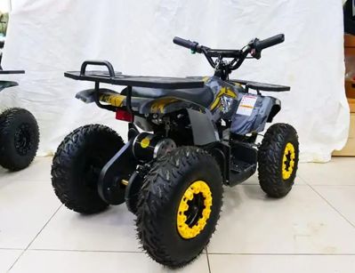 купить Электроквадроцикл MOTAX Grizlik X16 New E1000 в Москве - фото 