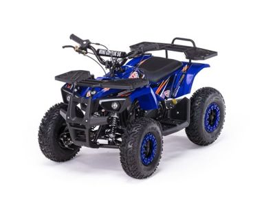 Квадроцикл MOTAX Grizlik X16 (ES, BW) в Москве