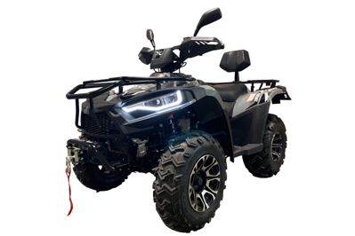 купить Квадроцикл LINHAI-YAMAHA P320 Promax в Москве - фото 