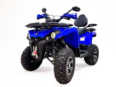 купить Квадроцикл MOTAX Grizlik 200 ULTRA BIG в Москве - фото 