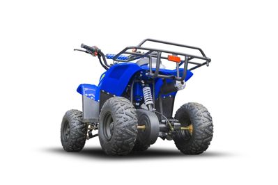 купить Квадроцикл TIGER 150 Universal RX в Москве - фото 