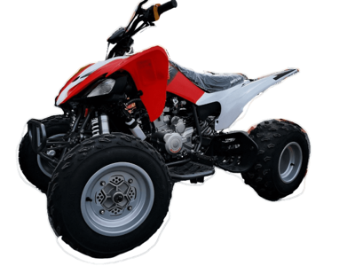 Квадроцикл MOTOLAND 250S Pro в Москве