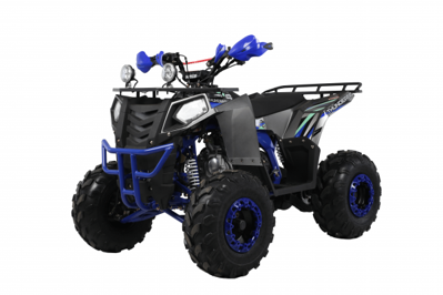 Квадроцикл WELS Thunder EVO X ST в Москве