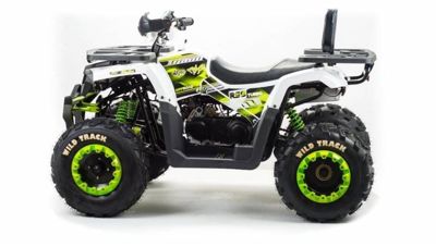 купить Квадроцикл MOTOLAND 200 Wild Track Lux ( Баланс. вал) (2021 Г.) в Москве - фото 
