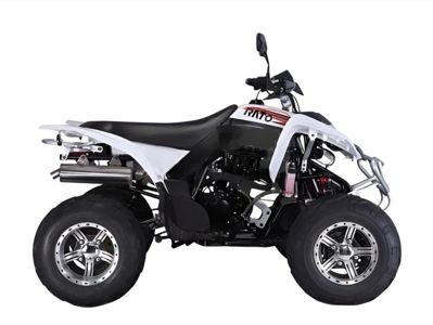 купить Квадроцикл RATO RТ250SТ-2 в Москве - фото 