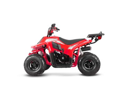 купить Квадроцикл SHARMAX 130 Cross в Москве - фото 