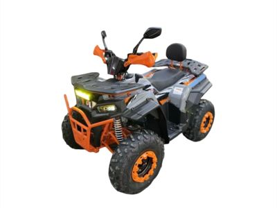 купить Квадроцикл MOTORHEAD M31 в Москве - фото 