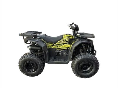 купить Квадроцикл ATV Dodge 200 в Москве - фото 