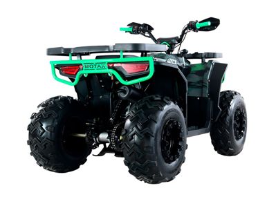 купить Квадроцикл MOTAX Grizlik U200 в Москве - фото 