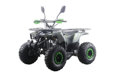 купить Квадроцикл MOTAX ATV Grizlik Premium 125cc в Москве - фото 