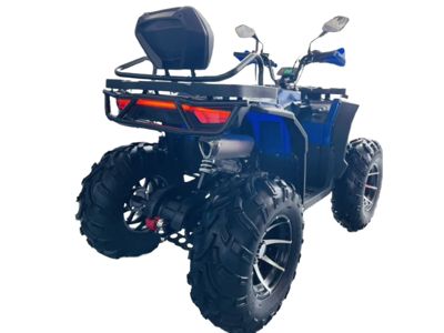 купить Квадроцикл MOTOLAND 300 Wild Track LUX в Москве - фото 