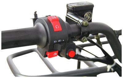 купить Электроквадроцикл AVANTIS ATV Classic 8E (1000W) в Москве - фото 