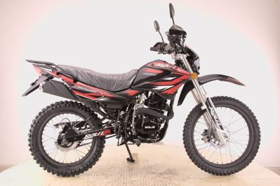 купить Мотоцикл кроссовый эндуро ROLIZ SPORT-005 ES в Москве - фото 