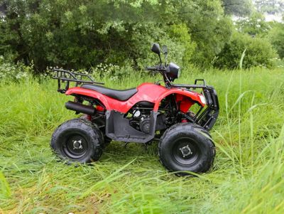 купить Квадроцикл ARMADA ATV 150L в Москве - фото 